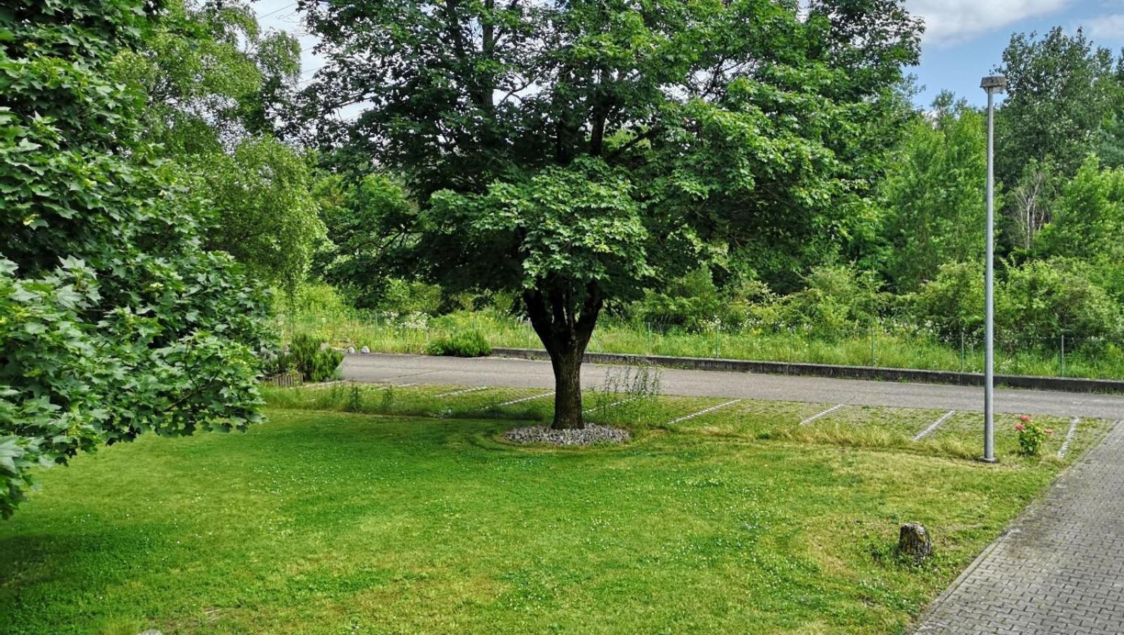 Niederwald Apartment Iffezheim Luaran gambar