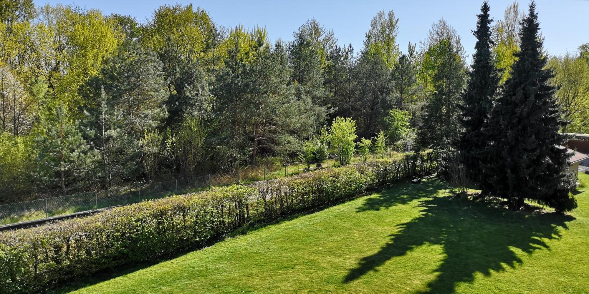 Niederwald Apartment Iffezheim Luaran gambar